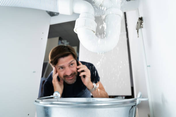 Best Local Plumber Services  in Frisco, TX